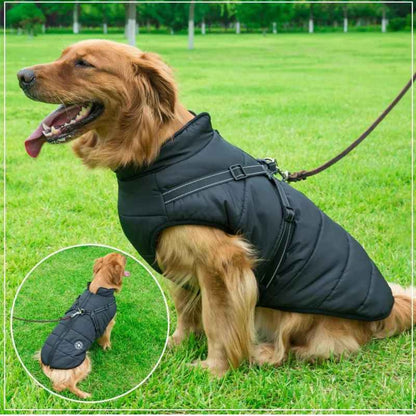 Cappotto con pettorina integrata per cani™️