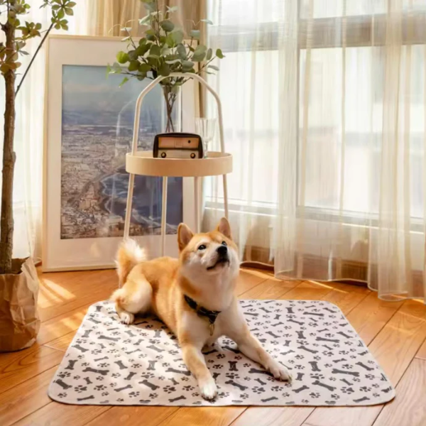 Tappetino igienico eco-friendly arcobaleno protezione pavimenti divani cucce